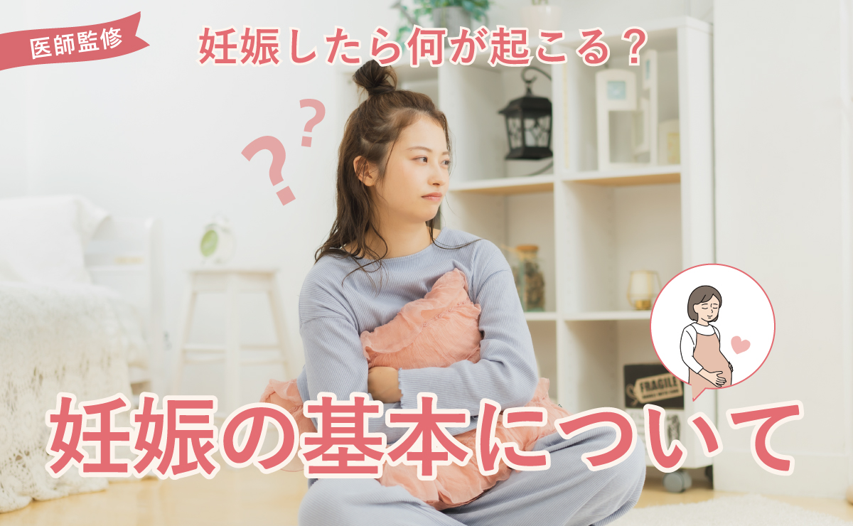 妊娠したら何が起こる？妊娠の基本について