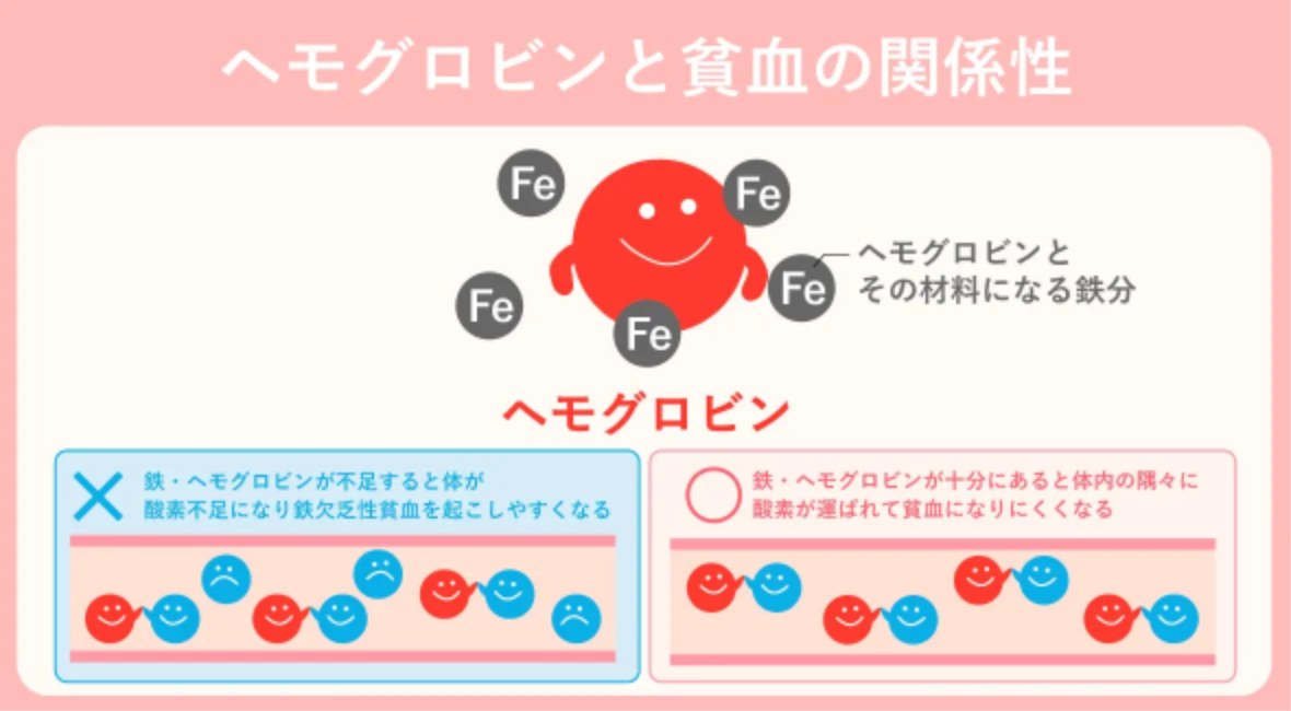 ヘモグロビンと貧血の関係性のイメージ