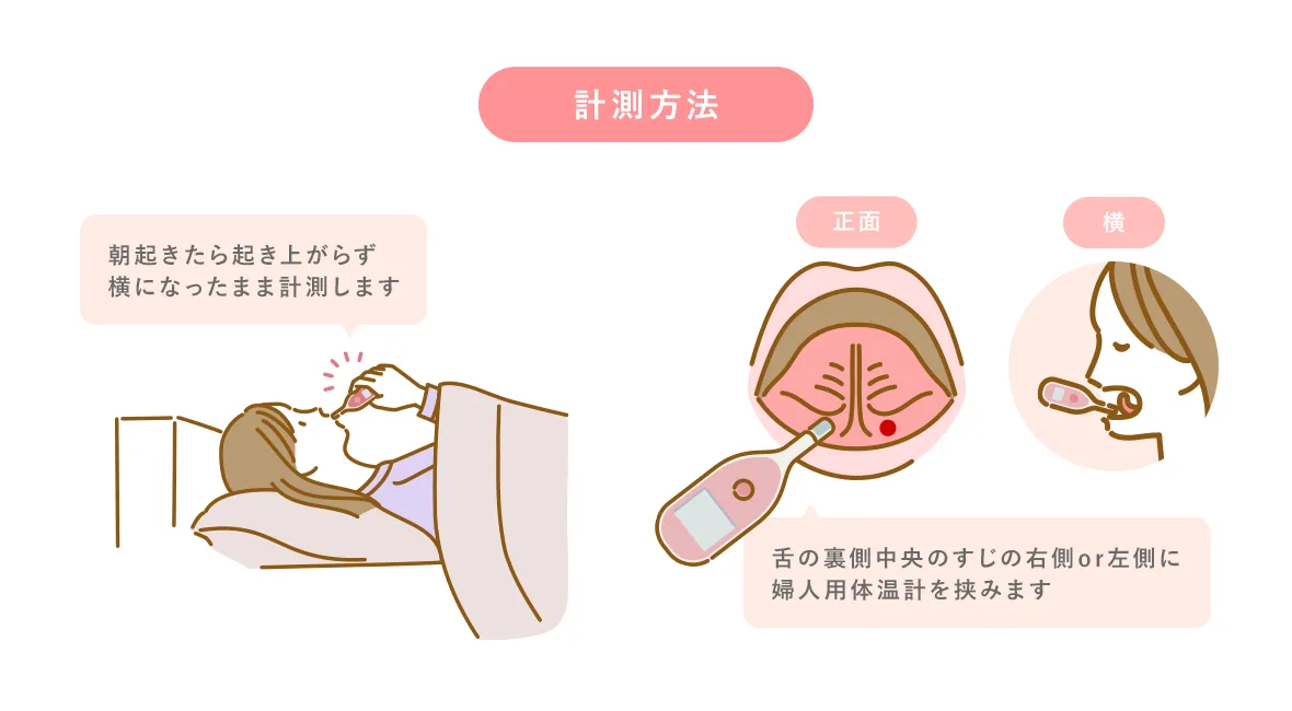 基礎体温測定の画像