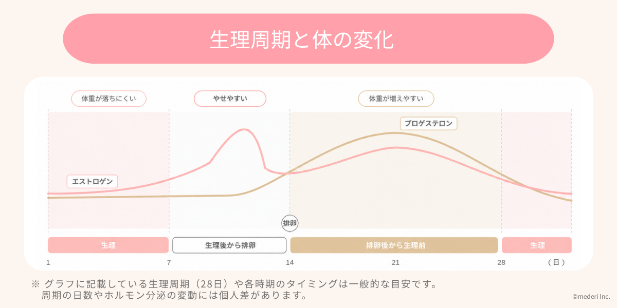 生理周期と体の変化のイメージ