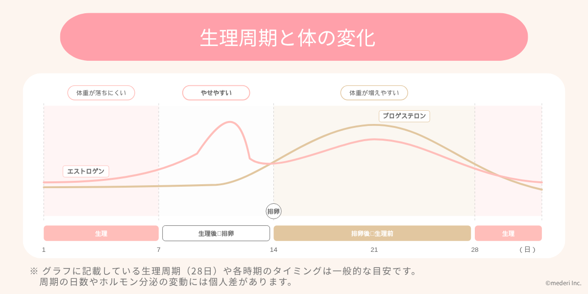 生理周期と体の変化のイメージ