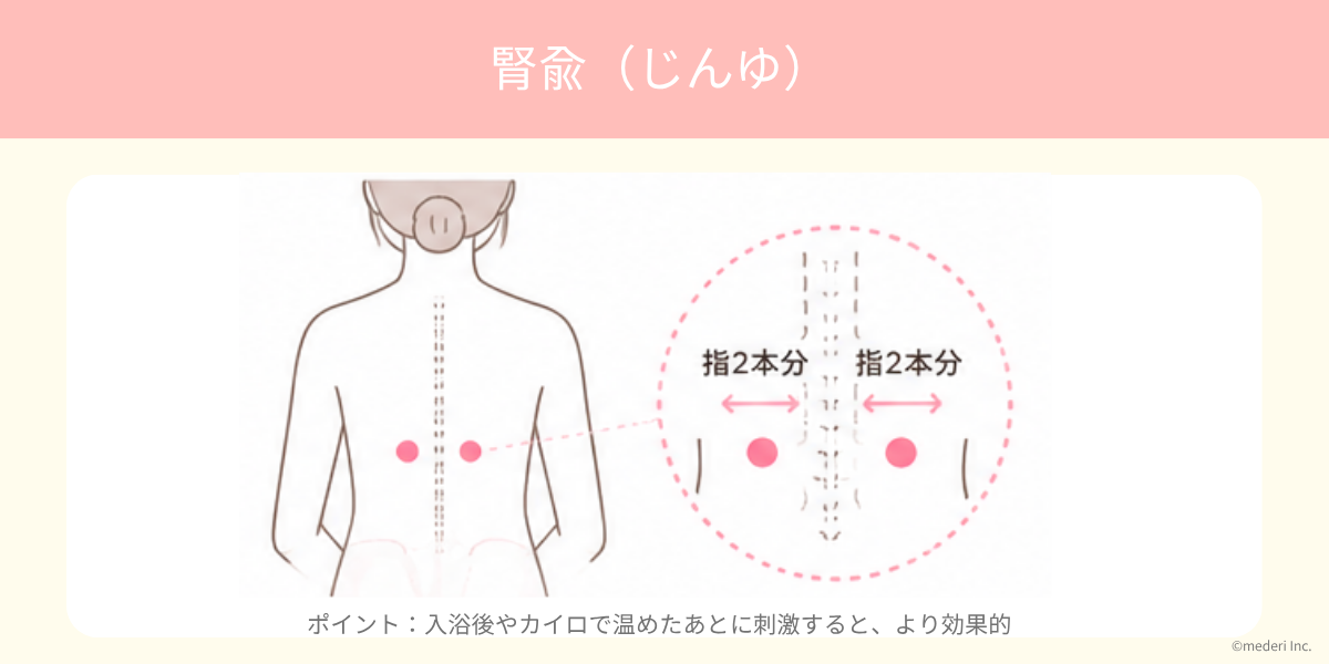 ツボ_腎兪（じんゆ）のイメージ