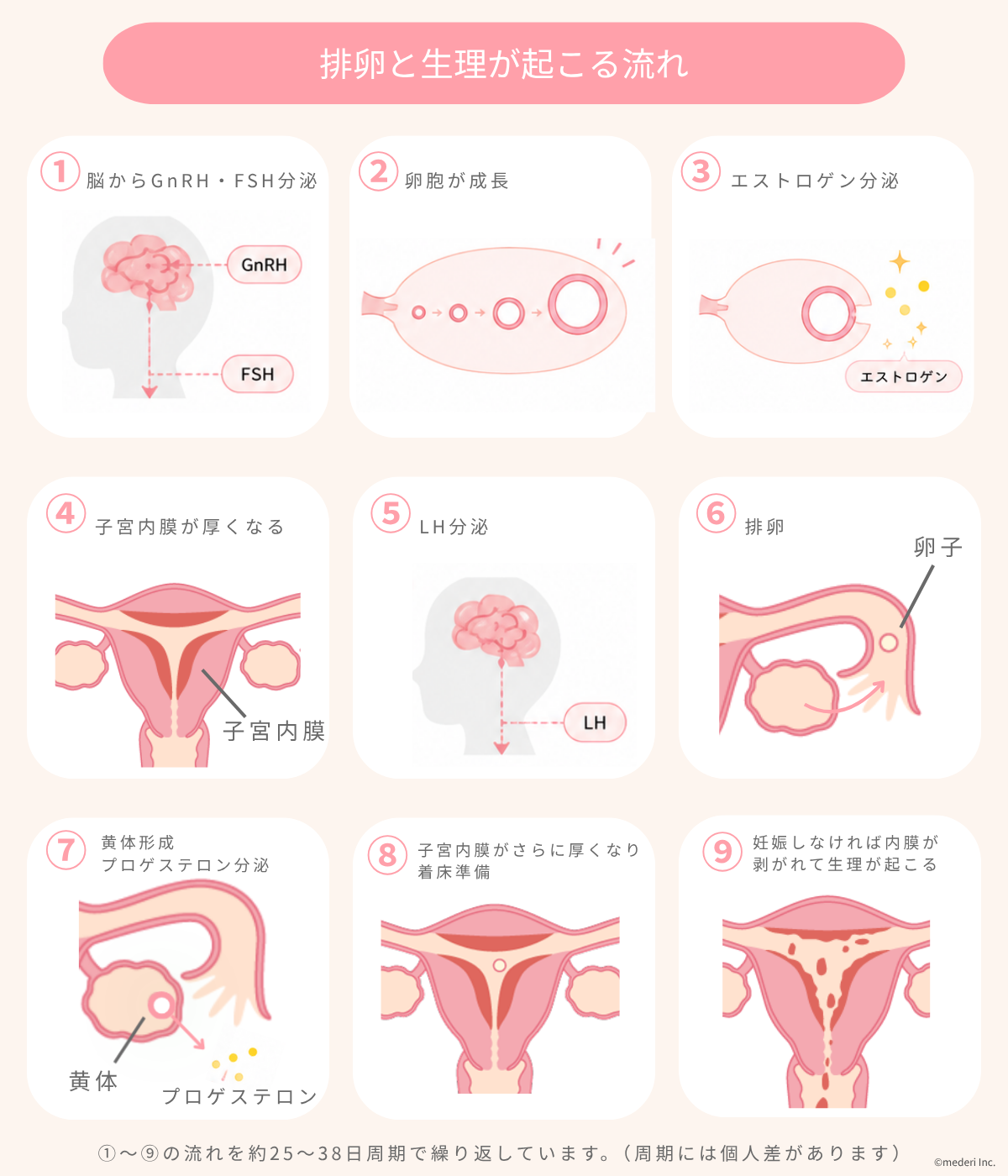 生理 と は
