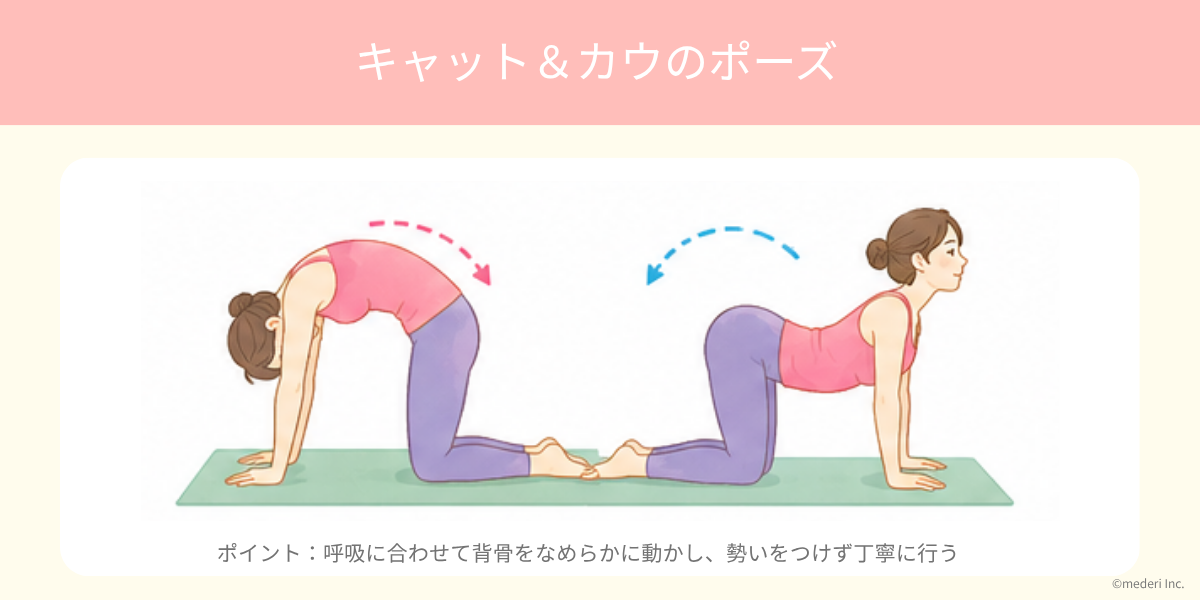 ヨガ_キャット&カウのポーズのイメージ