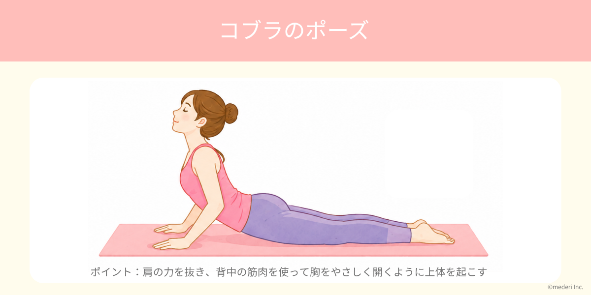 ヨガ_コブラのポーズのイメージ